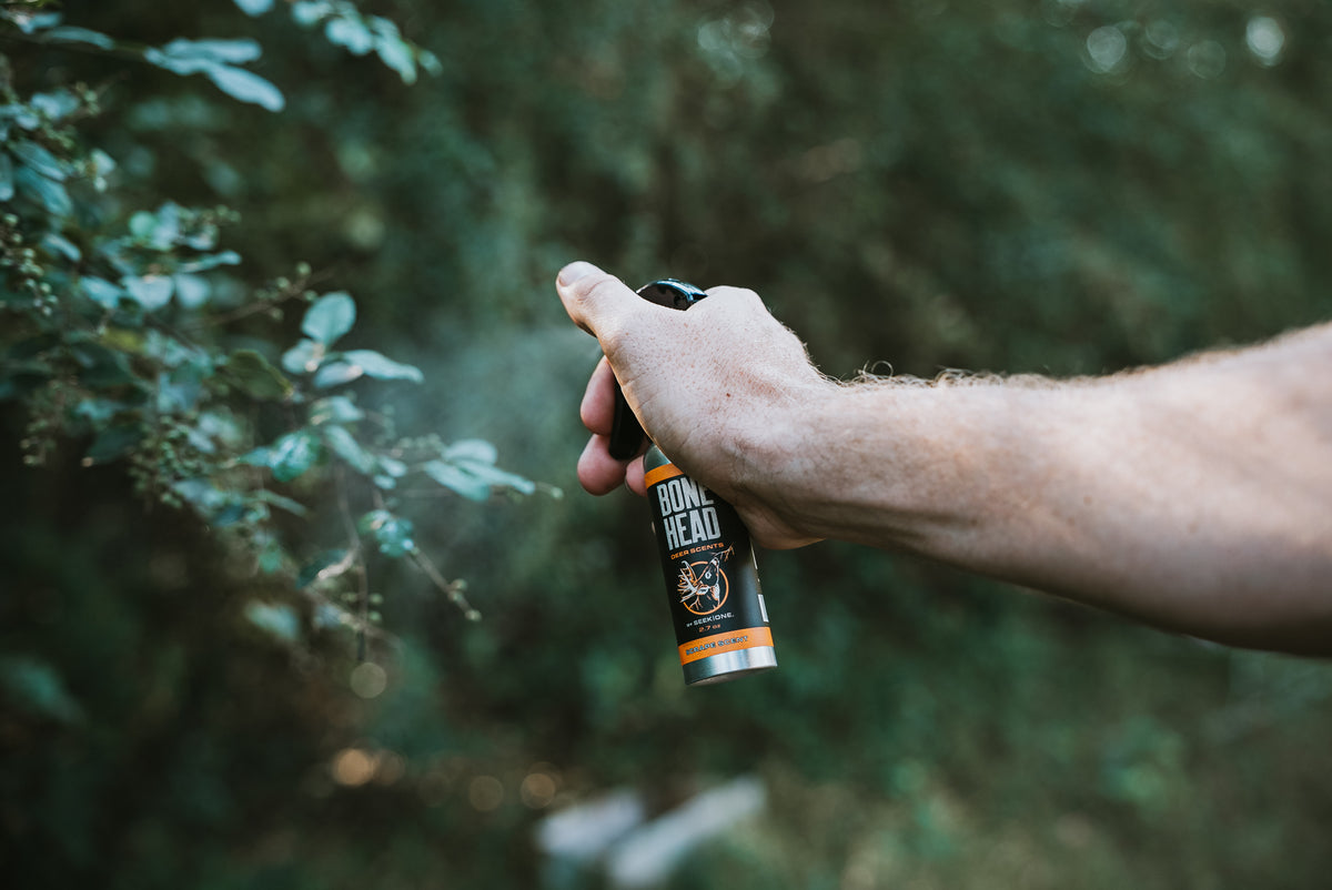Bonehead Scrape Scent